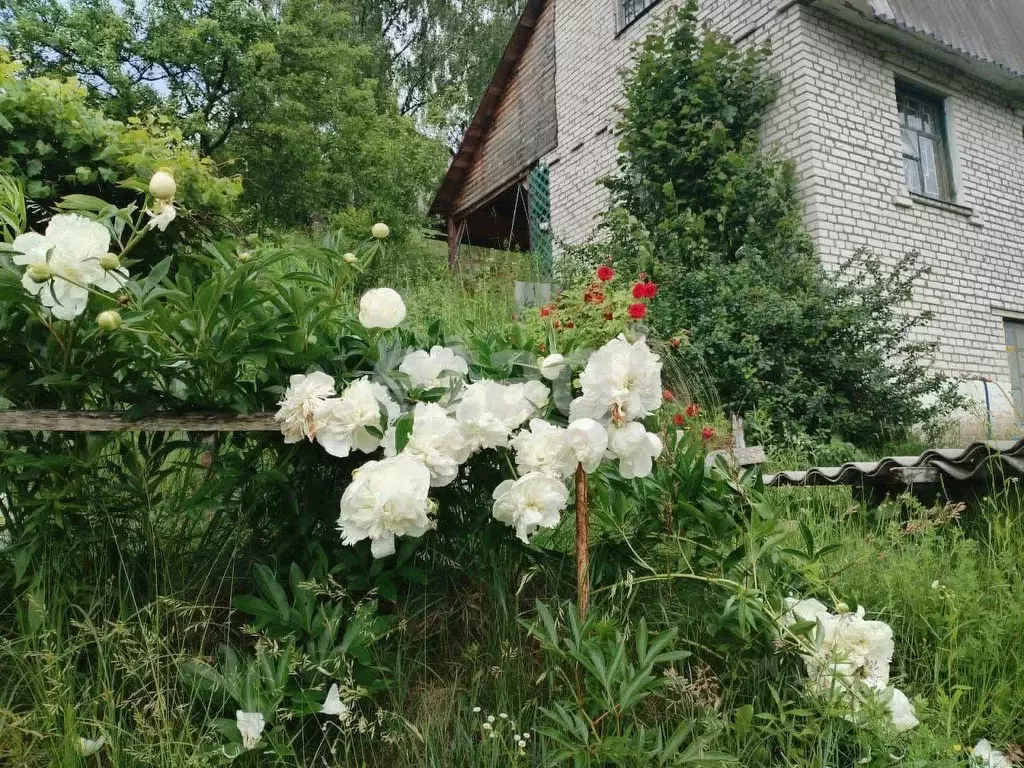 Дом в Брянская область, Брянский район, Мичуринское с/пос, Строитель ... - Фото 0