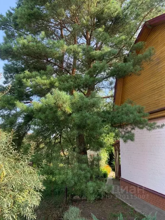 Дом в Орловская область, Орловский район, пос. Дружный, Цон ДНТ  (72 ... - Фото 2