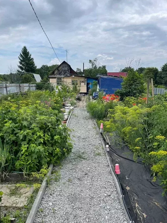 Дача 30 м на участке 6 сот. - Фото 1