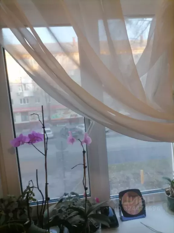 2-к кв. Самарская область, Тольятти ул. Ленина, 97 (41.8 м) - Фото 1