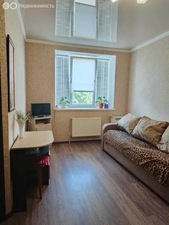 1-комнатная квартира: Михайловск, улица Ишкова, 89 (27 м) - Фото 0