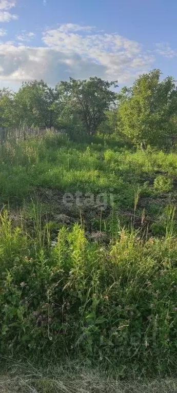 Участок в Мордовия, Саранск Зеленый Друг СНТ,  (4.3 сот.) - Фото 0