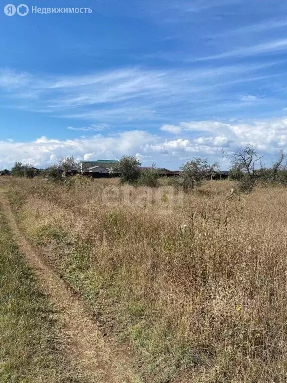 Участок в Сакский район, посёлок городского типа Новофёдоровка (30 м) - Фото 0