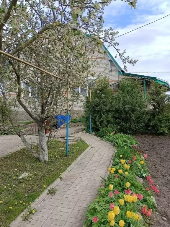 Дом в Новгородская область, Сольцы г. Солецкий муниципальный округ, ... - Фото 1