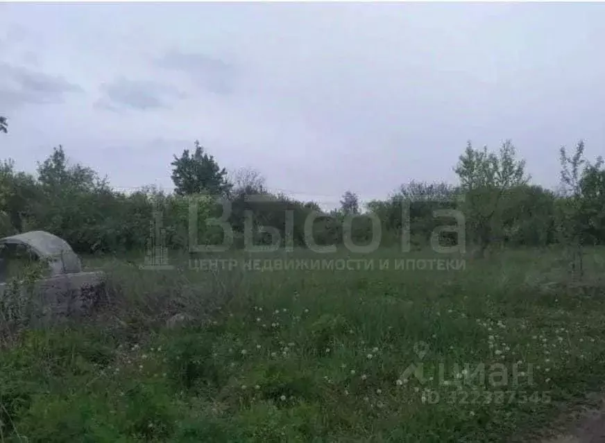 Участок в Воронежская область, Рамонский район, с. Новоживотинное ... - Фото 1