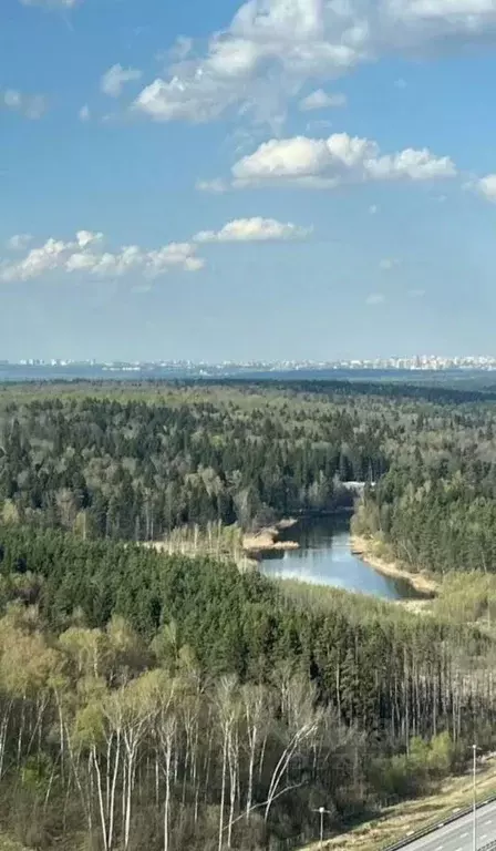 Студия Московская область, Одинцово Микрорайон Клубничное Поле, 1 ... - Фото 2