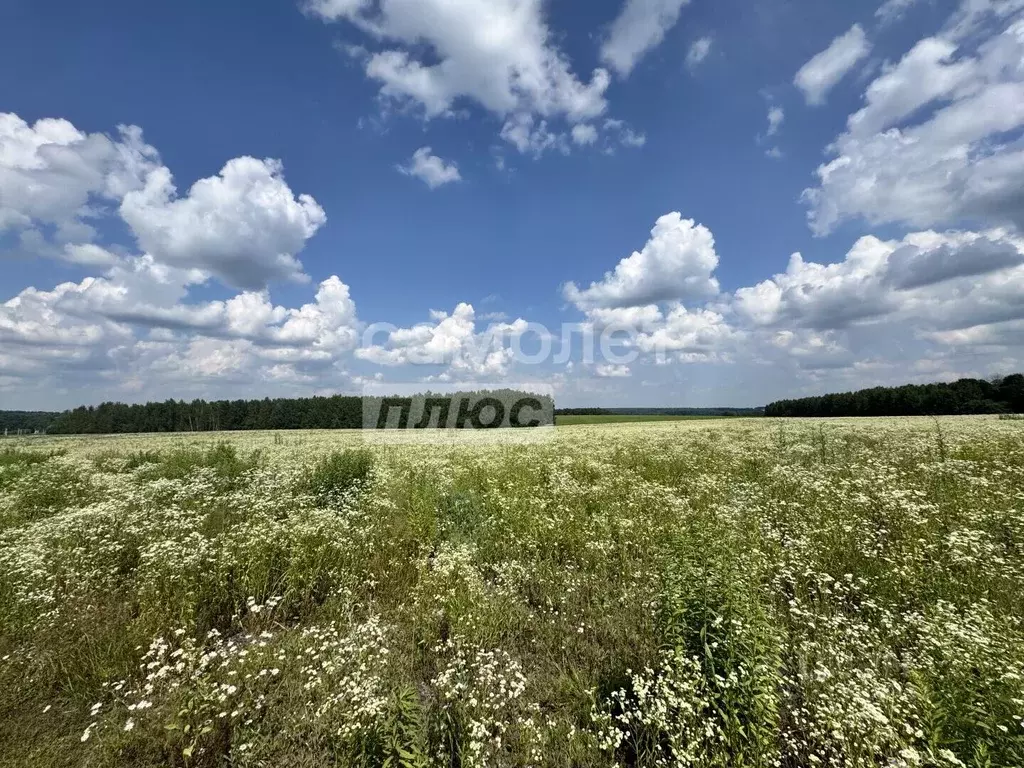 Участок в Орловская область, Дмитровский район, Долбенкинское с/пос, ... - Фото 2