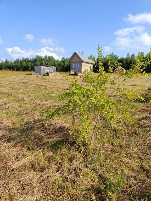 Дом в Коми, Корткеросский район, Додзь муниципальное образование, д. ... - Фото 2