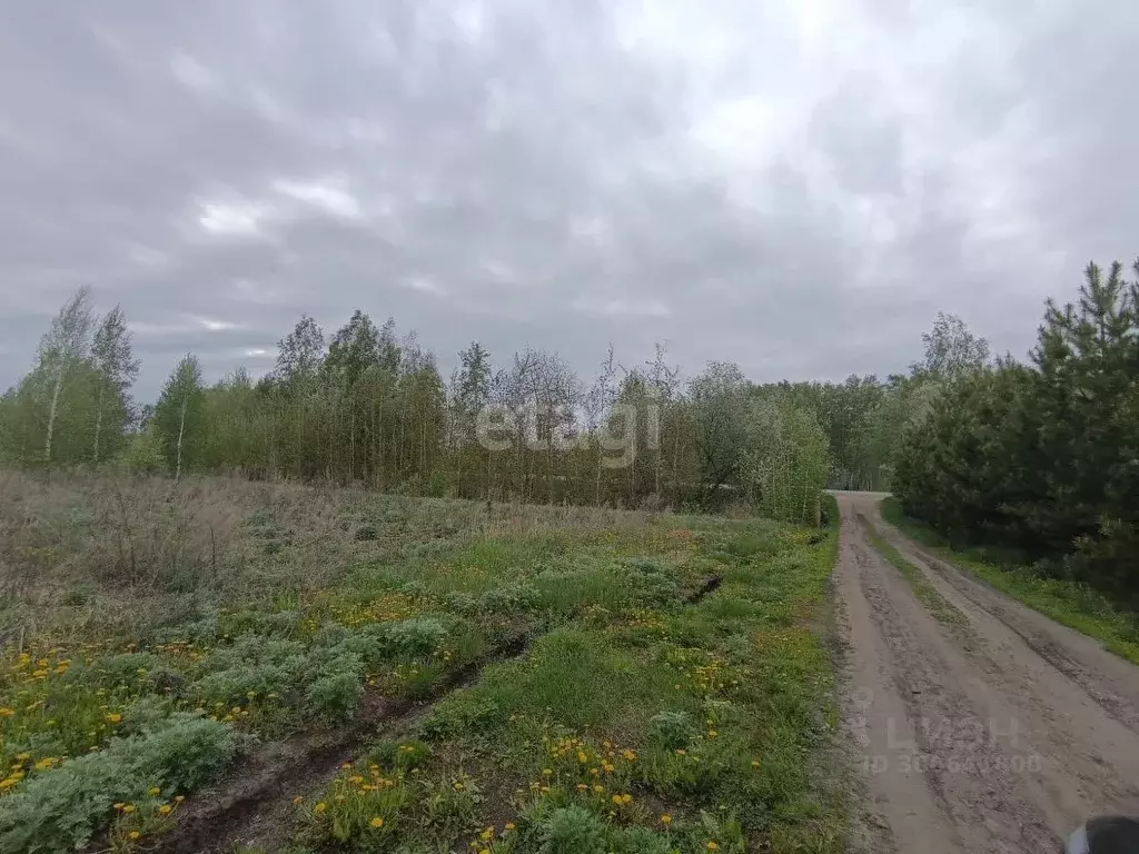 Участок в Омская область, Омский район, с. Морозовка Юбилейная ул. ... - Фото 1