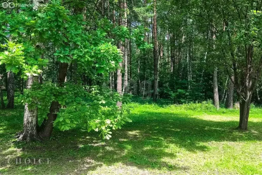 Участок в деревня Шульгино, Лесная улица (25 м) - Фото 1