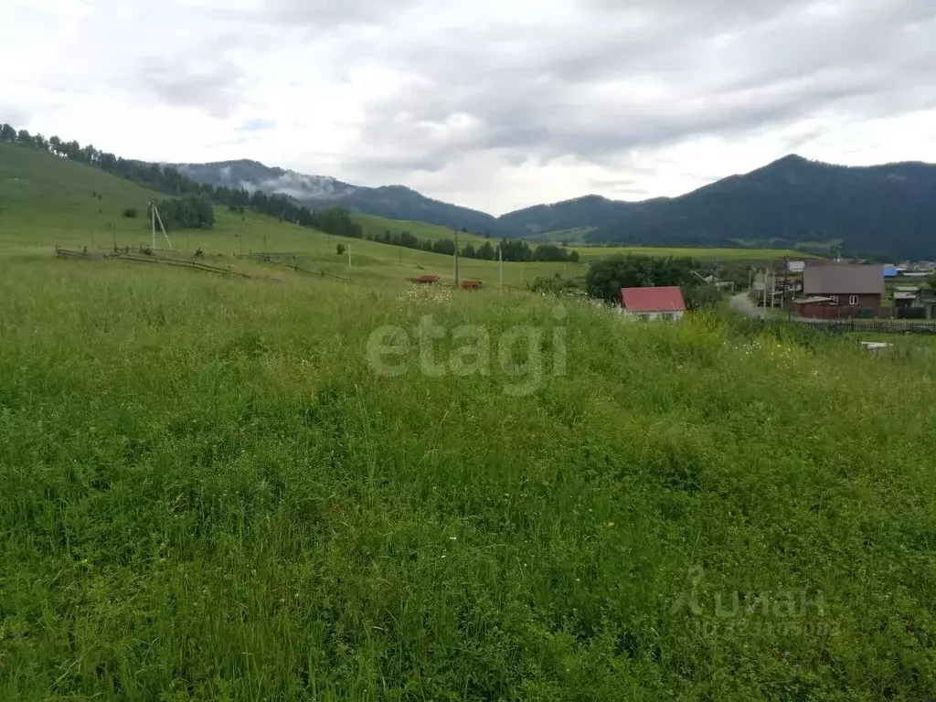 Участок в Алтай, Шебалинский район, с. Камлак  (6.0 сот.) - Фото 1