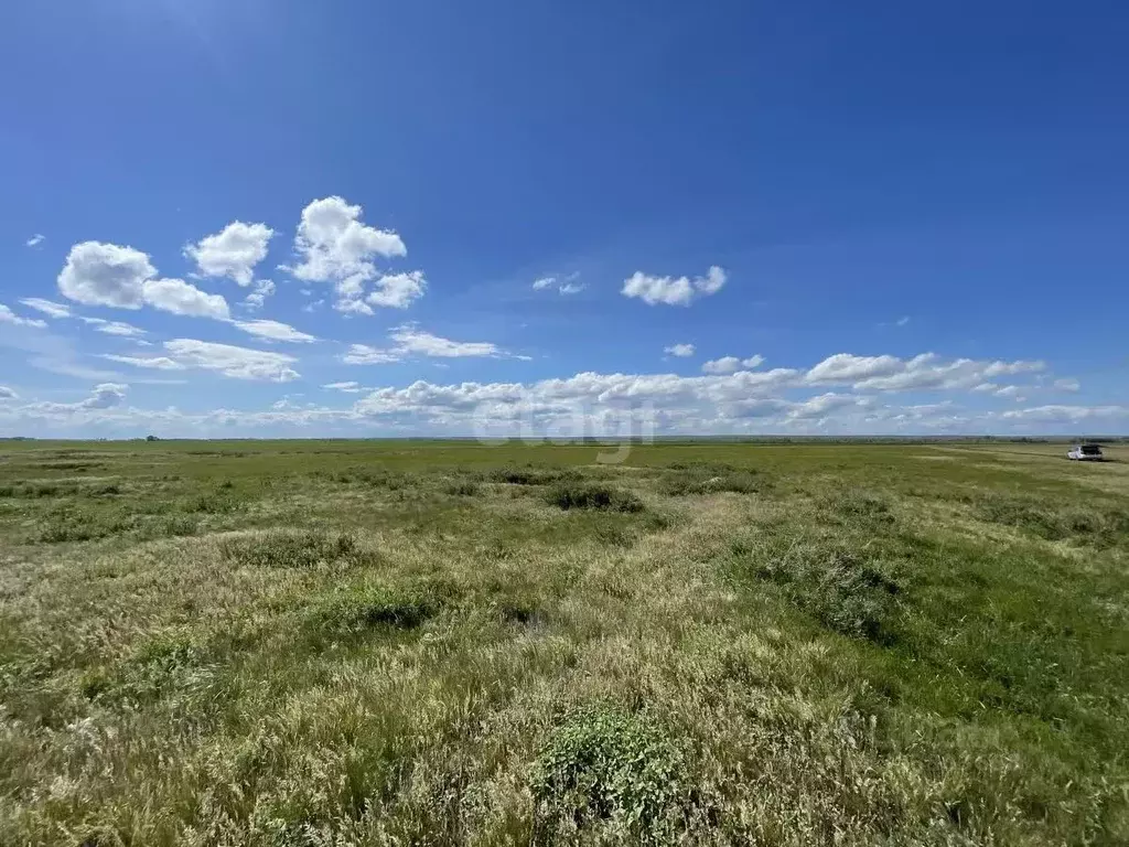 Участок в Оренбургская область, Октябрьский район, с. Новоникитино  ... - Фото 0