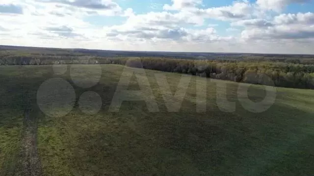 Участок 10 га (СНТ, ДНП) - Фото 1