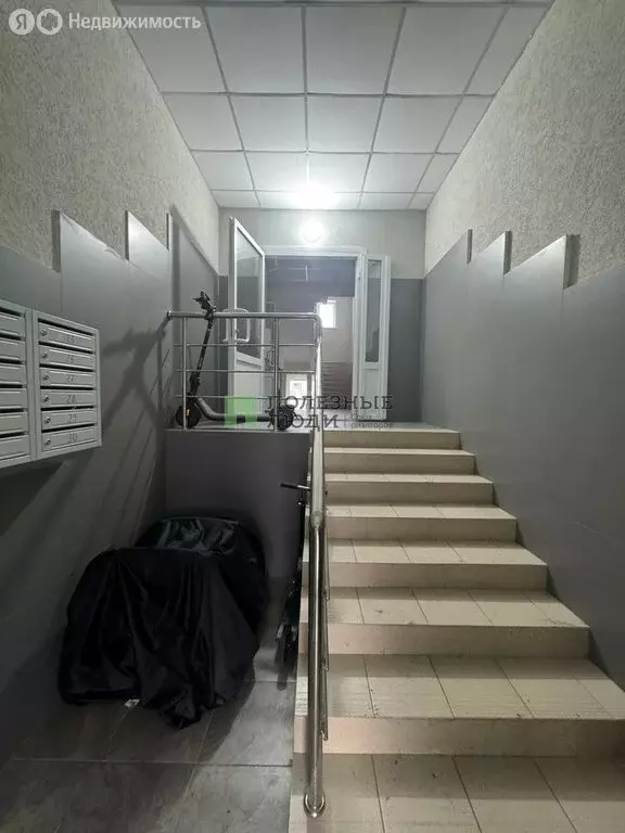 Квартира-студия: Разумное, улица имени И.Д. Елисеева, 7 (30 м) - Фото 2