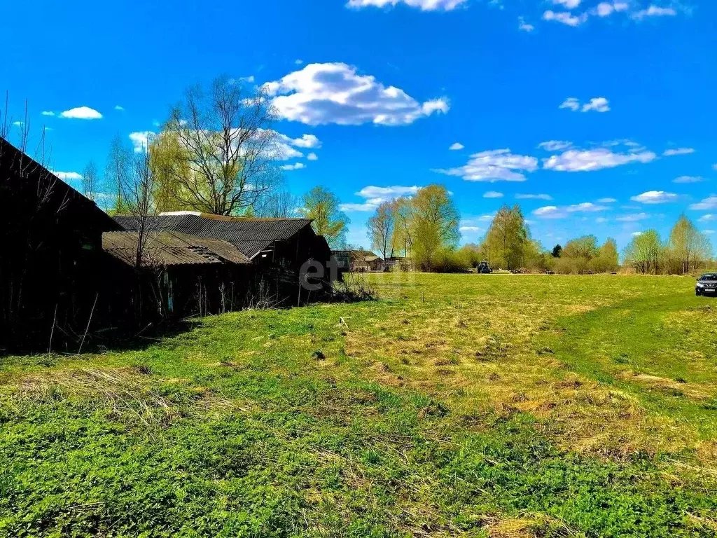 Дом в Псковская область, Пушкиногорский район, Велейская волость, д. ... - Фото 0