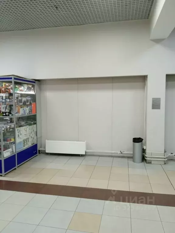 Торговая площадь в Челябинская область, Челябинск Салютная ул., 27 (4 ... - Фото 2