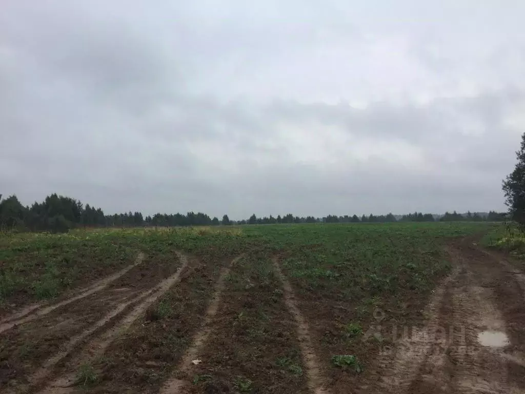 Участок в Московская область, Клин городской округ, д. Теренино  (17.5 ... - Фото 2