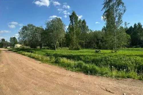 Участок в Новгородская область, Новгородский район, Савинское с/пос, ... - Фото 1