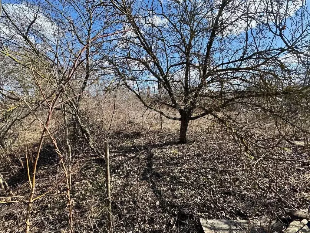 Участок в Липецкая область, Липецк Строитель-3 СНТ, 191 (5.9 сот.) - Фото 2