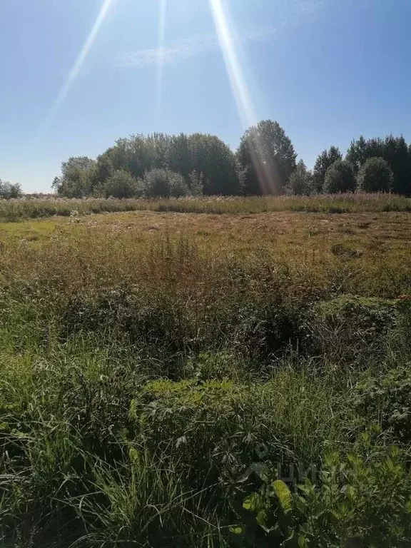 Участок в Ленинградская область, Лужский район, Заклинское с/пос, д. ... - Фото 1