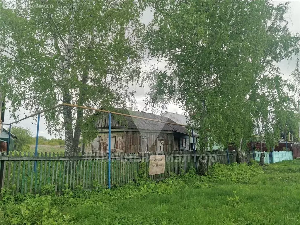 Дом в село Щетиновка, улица Бережок, 202 (24.2 м) - Фото 1