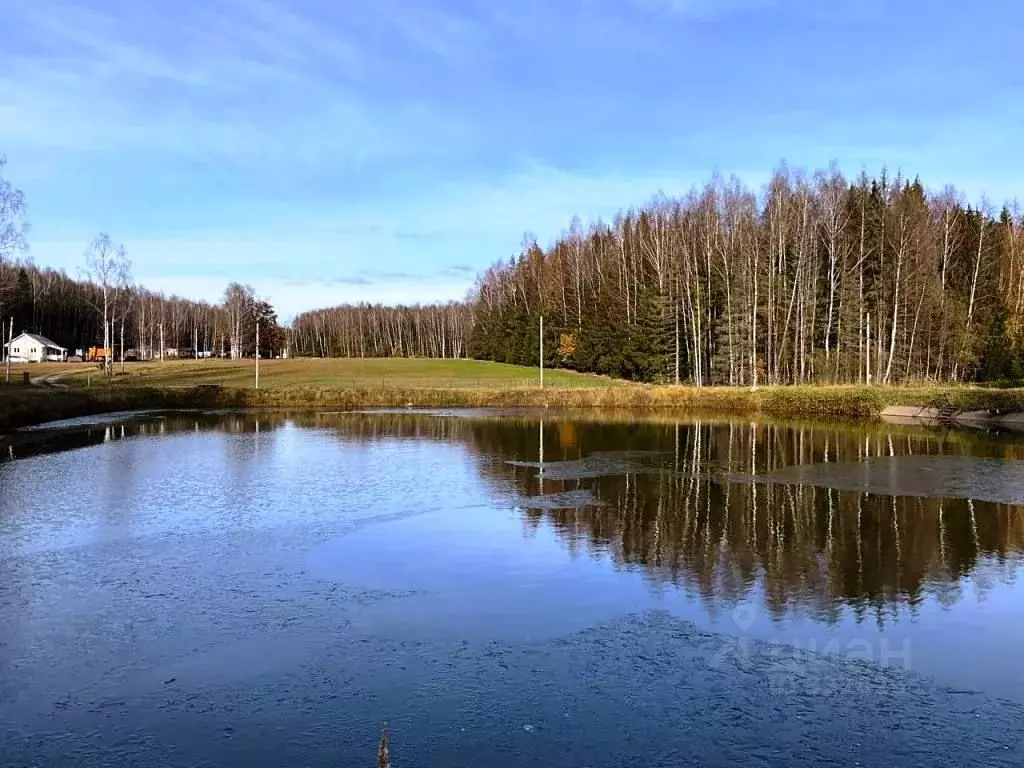 Участок в Владимирская область, Киржачский район, Кипревское ... - Фото 1