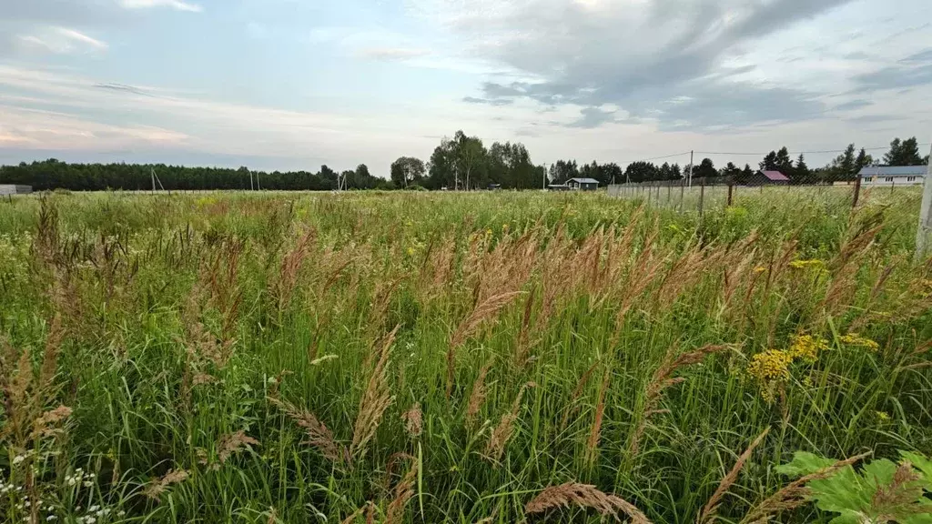 Участок в Московская область, Рузский муниципальный округ, д. Горки  ... - Фото 2
