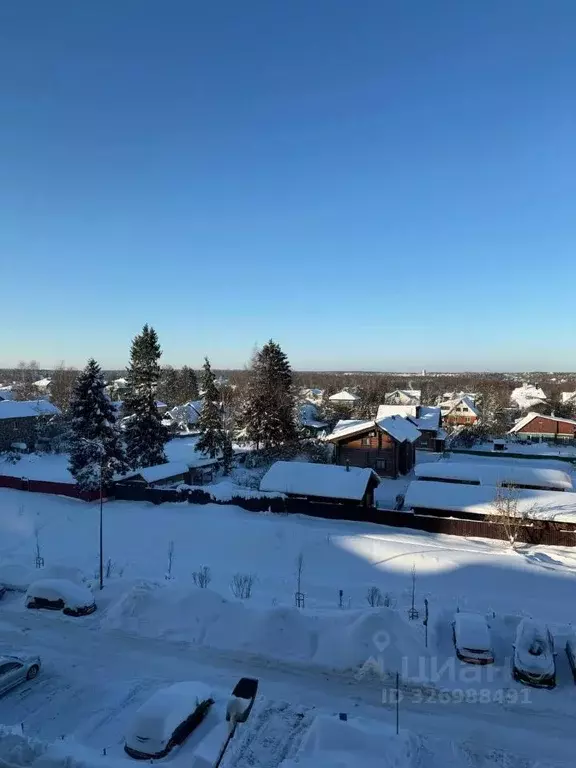 Студия Московская область, Одинцовский городской округ, с. Лайково  ... - Фото 2