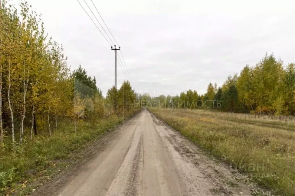 Участок в Тюменская область, Нижнетавдинский район, д. Московка  ... - Фото 1