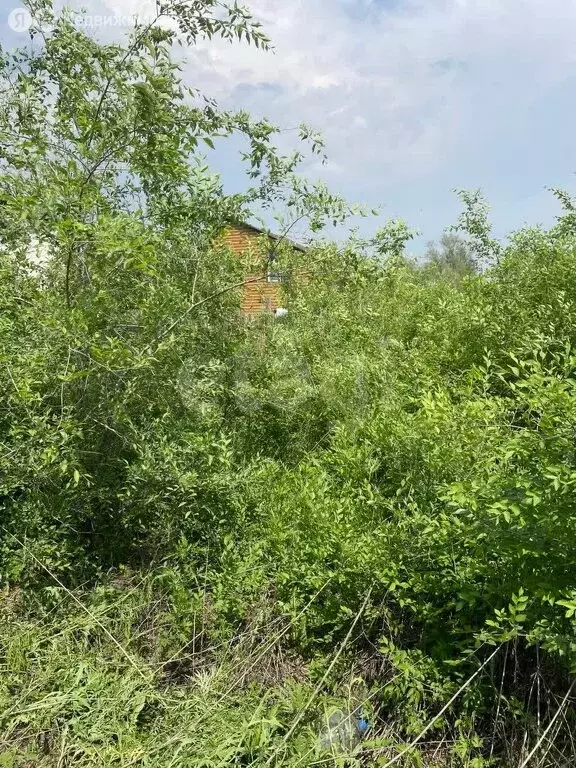 Дом в Чита, Широкая улица (49.5 м) - Фото 0