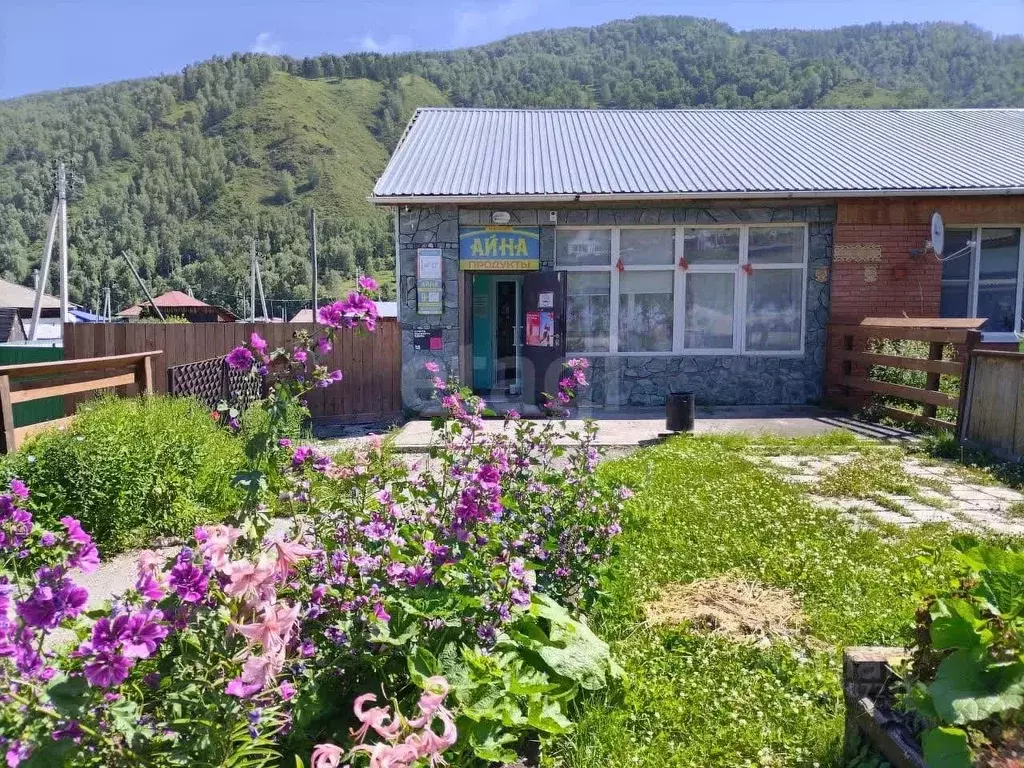 Торговая площадь в Алтай, Шебалинский район, с. Черга Октябрьская ул. ... - Фото 2