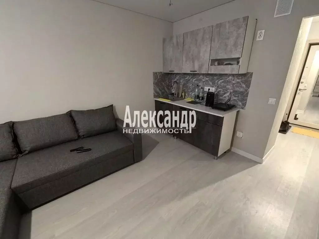 Студия Ленинградская область, Всеволожский район, Заневское городское ... - Фото 2