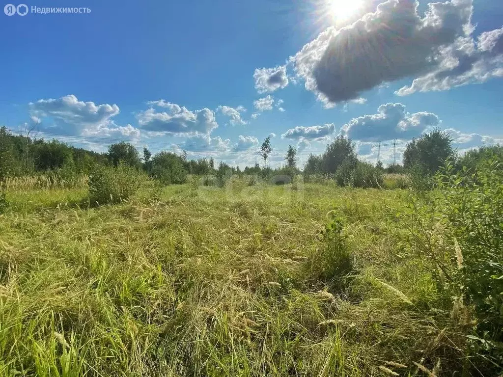 Участок в Большие Кургузи, Молодёжная улица (8 м) - Фото 1