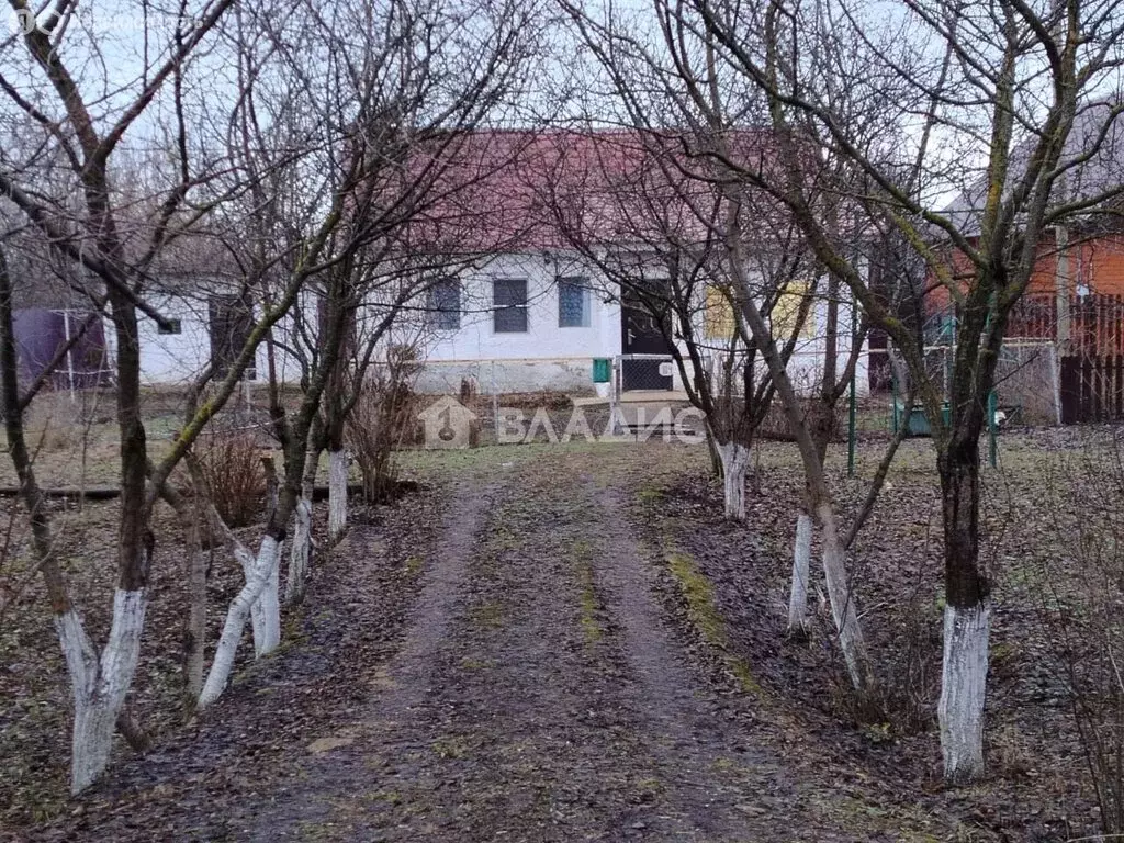 Дом в село Лопатино, Центральная улица, 104 (80 м) - Фото 0