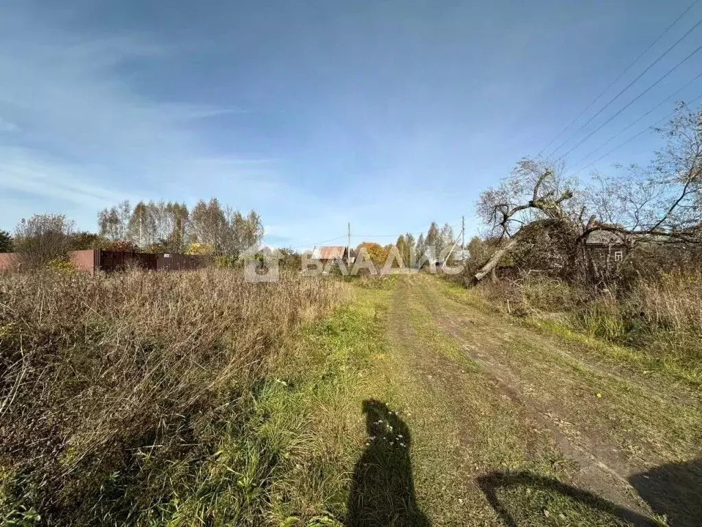 Участок в Владимирская область, Суздальский район, Селецкое ... - Фото 1