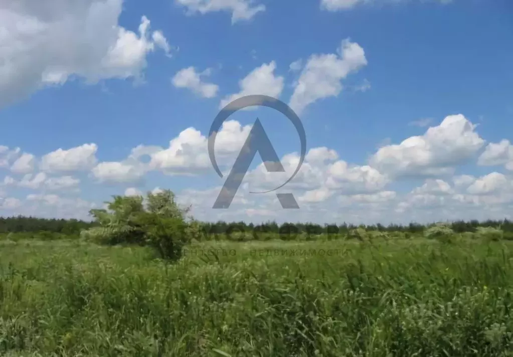 Участок в Краснодарский край, Апшеронск Коммунальная ул. (6.0 сот.) - Фото 2