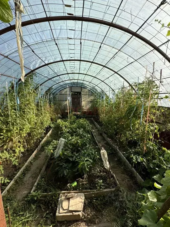 Дом в Ростовская область, Волгодонск Мичуринец СНТ,  (12 м) - Фото 2