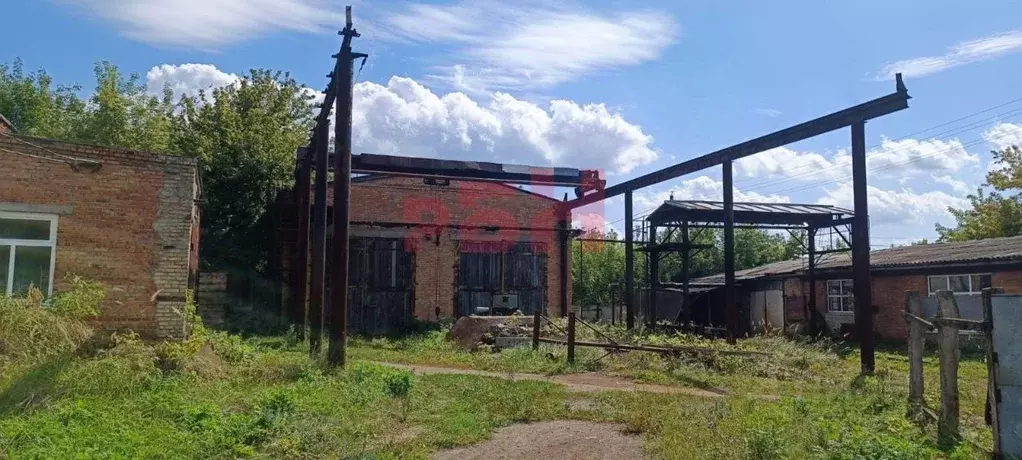 Производственное помещение в Пензенская область, с. Бессоновка ул. ... - Фото 2