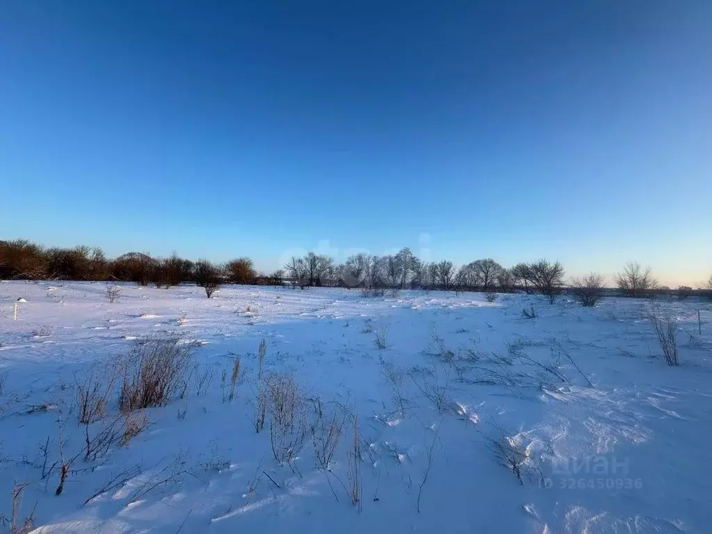 Участок в Курская область, Октябрьский район, Черницынский сельсовет, ... - Фото 2