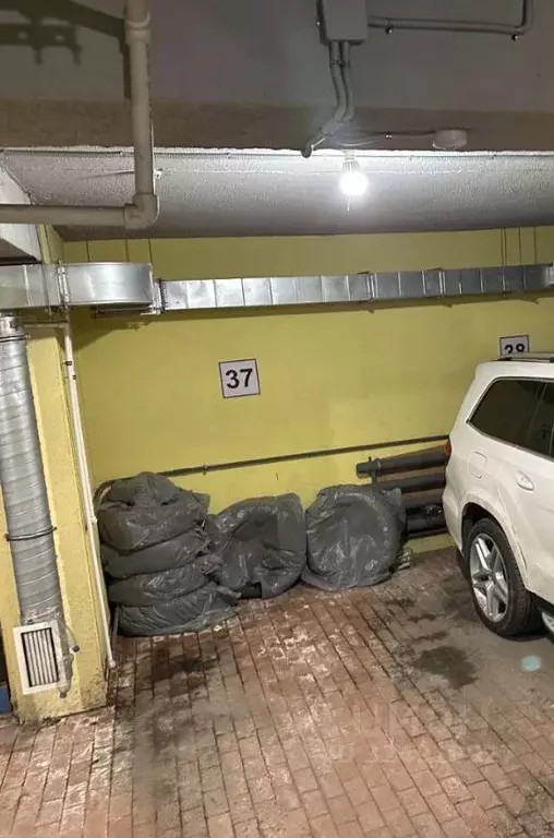 Гараж в Санкт-Петербург, Санкт-Петербург, Павловск Конюшенная ул., 26 ... - Фото 1