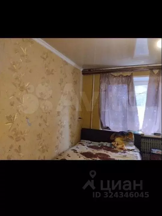 Студия Белгородская область, Старый Оскол Горняк мкр, 9 (13.0 м) - Фото 1