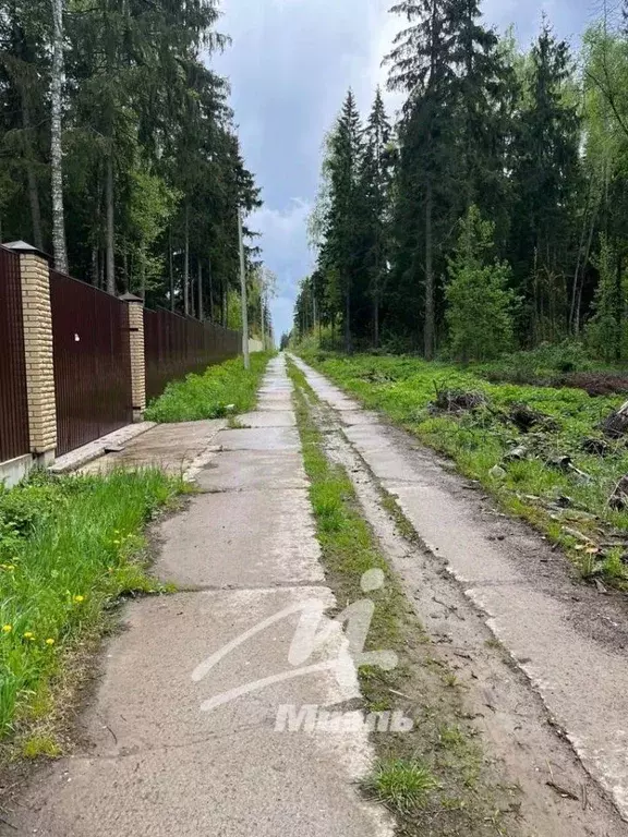 Участок в Московская область, Наро-Фоминский городской округ, д. ... - Фото 1