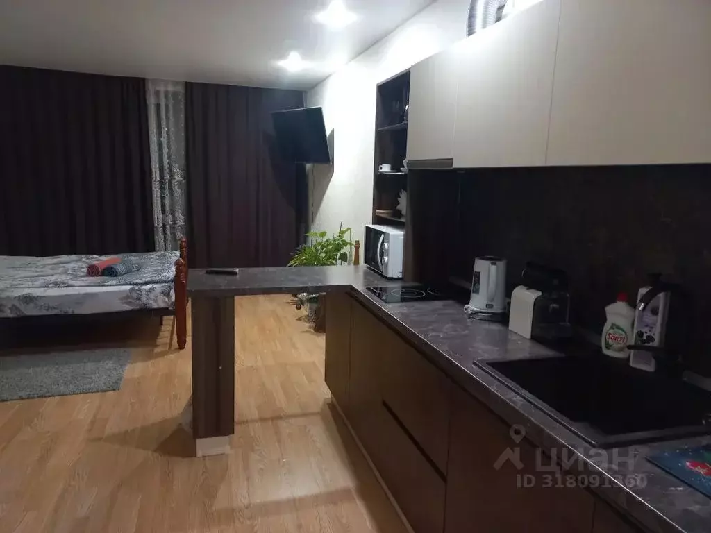Студия Пензенская область, Пенза ул. Генерала Глазунова, 7 (29.0 м) - Фото 0