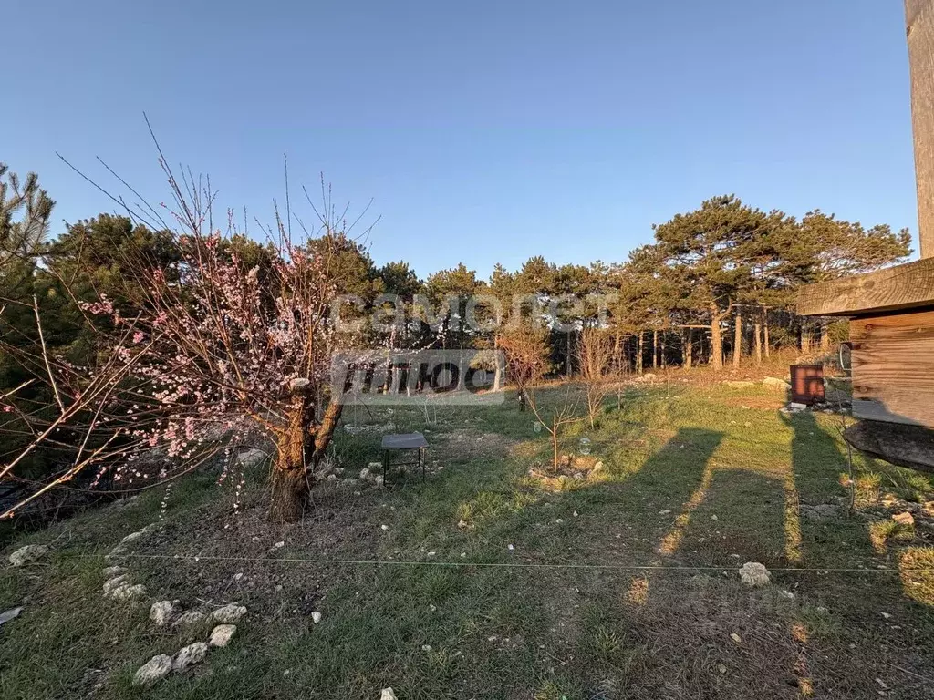 Участок в Севастополь Балаклавский муниципальный округ, Скиф садовое ... - Фото 2