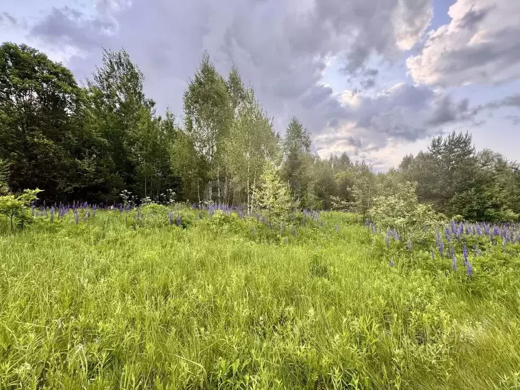 Участок в Смоленская область, Ярцево ул. Рябиновая, 12 (12.0 сот.) - Фото 1