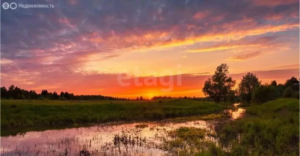 Участок в Пермский край, Краснокамский муниципальный округ, посёлок ... - Фото 1