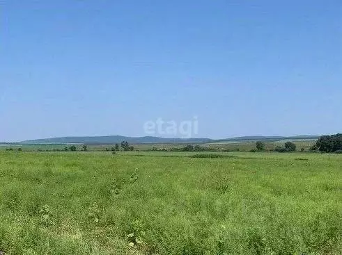 Участок в Краснодарский край, Новороссийск городской округ, ... - Фото 2