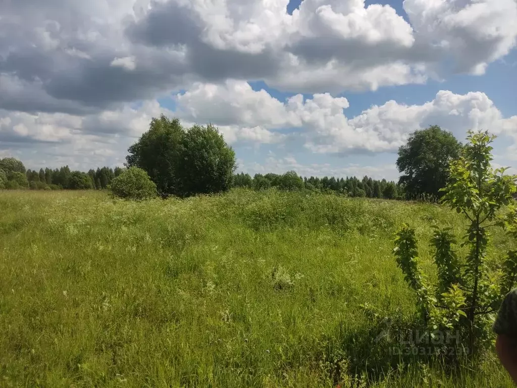 Участок в Вологодская область, Устюженский район, д. Квашнино  (2.8 ... - Фото 0