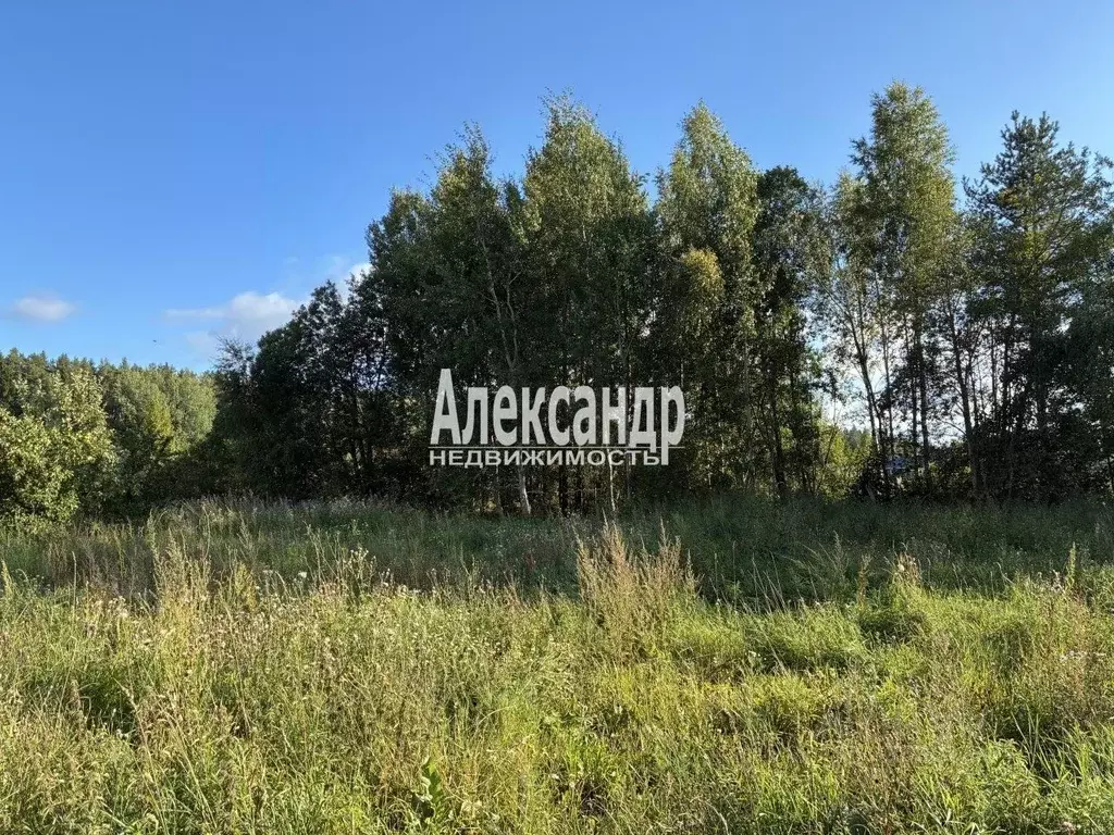 Участок в Ленинградская область, Приозерский район, Мельниковское ... - Фото 1