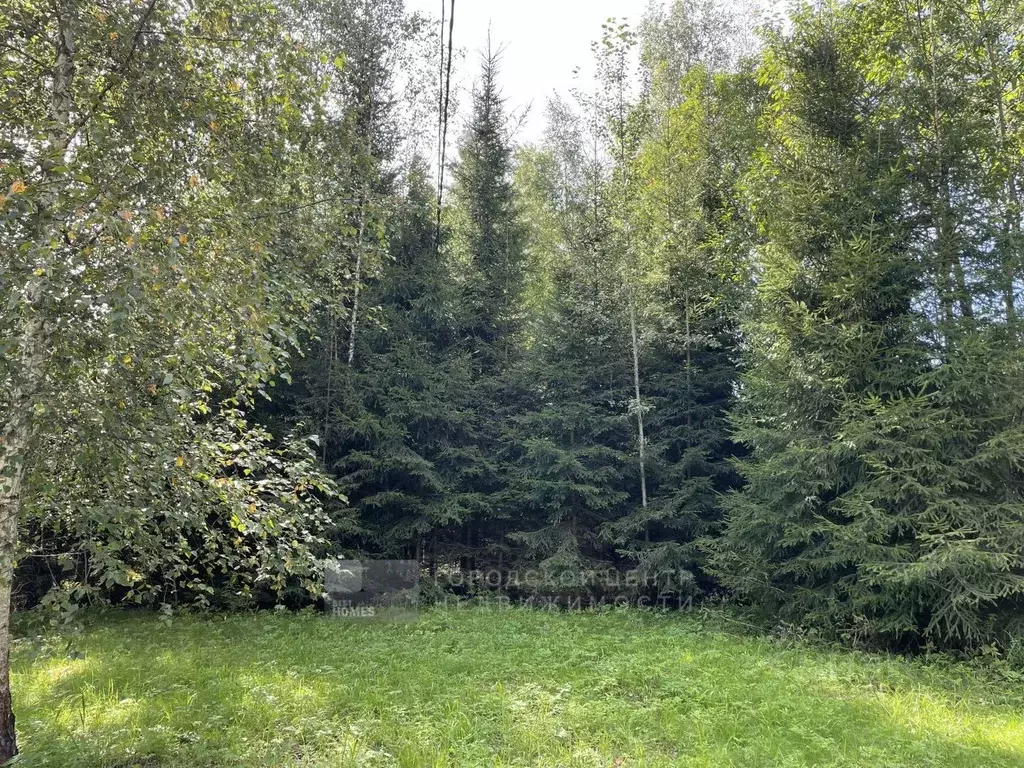 Участок в Московская область, Мытищи городской округ, д. Долгиниха ул. ... - Фото 1